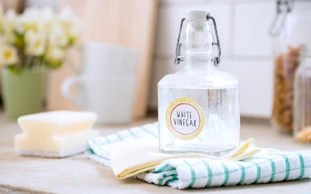 Chia Sẻ Cách Làm Sạch Vách Kính Nhà Tắm Cực Kì Đơn Giản 2 Chia Sẻ Cách Làm Sạch Vách Kính Nhà Tắm Cực Kì Đơn Giản