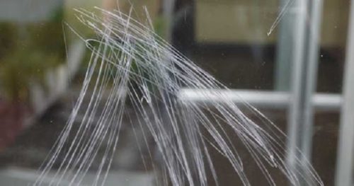 Chia Sẻ Cách Làm Mờ Vết Xước Trên Kính Cường Lực Cực Hiệu Quả